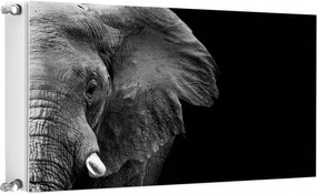 Mágneses Radiátorszőnyeg 100x60 Elefánt Fotótapéta