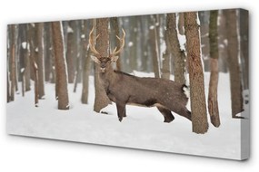 Canvas képek Deer téli erdőben 100x50 cm