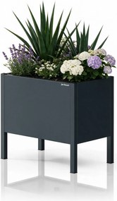 Kis, antracit színű fém virágcserép-burkolat: DAISY 400 x 350 x 250 mm