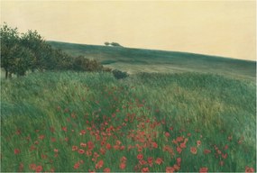 Flizelin fotótapéta Flizelin Design Pipacs mezők 104x70 Ragasztó