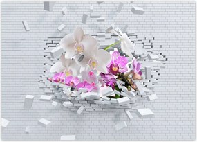 Poszterek 70x50 Orchidea a falban
