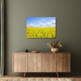 Egy sárga mező képe (üvegen) (70x50 cm)