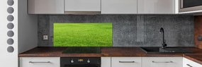 Konyhai dekorpanel Zöld fű pksh-141153462
