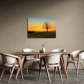 Egy fa képe a mezőn (70x50 cm)
