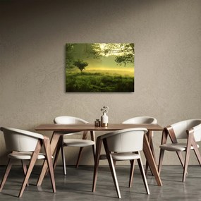 Kép - Ébredő erdő (üvegen) (70x50 cm)