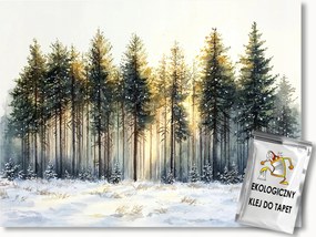 Fotótapéta Flizelina Erdő Tél Fák Hó Tájkép Természet 312x219 ragasztó