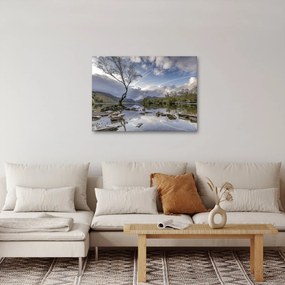 Folyó a fa mögött képe (70x50 cm)