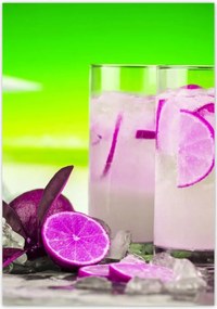 Poszterek 70x100 Rumos ital a trópusokon