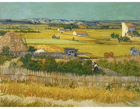 Reprodukciós kép 40x30 cm The Harvest, Vincent van Gogh – Fedkolor