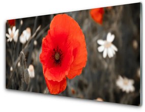 Akril üveg kép virágok növények 140x70 cm