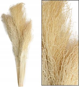 Westwing Szárított pálmalevelek egzotikus aszalvány csokor 3 db kb 35 cm