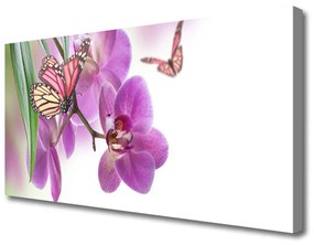 Vászonkép falra Pillangók virágok természet 100x50 cm
