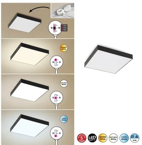 Rabalux - LED mennyezeti lámpa LED/24W/230V 2800-6000K IP44 fekete