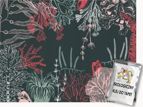 Fotótapéta Flizelina Víz Alatti Világ Óceán Zátony Korallok Alga 250x175 ragasztó