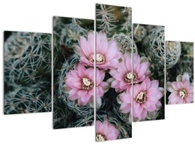 Kaktusz virágának képe (150x105 cm)