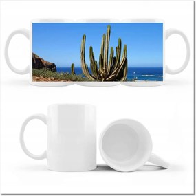 Kép bögre Kaktusz a természetben Kilátás