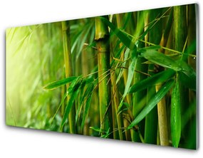 Üvegkép Bambusz szárak Plant 120x60cm 2 fogas