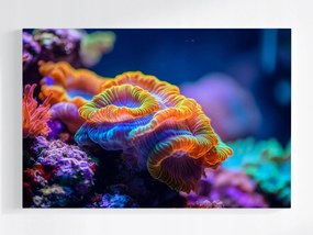 Vászonkép Canvas Víz Zátony Állatvilág Korall Természet 60x40