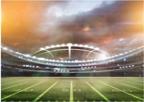 Kép - Stadium (70x50 cm)