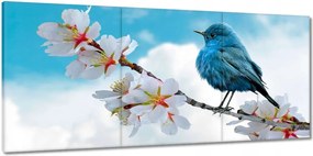 Vászonkép 150x70 Madár az ágon Finom k