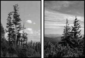 Poszterek diptikus erdő fák táj fekete-fehér poszter falra 13x18cm