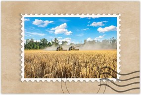 Poszterek 60x40 Két fűnyíró kombájn