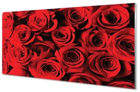 Akrilkép Roses 100x50 cm