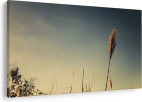 A fű képe (90x60 cm)
