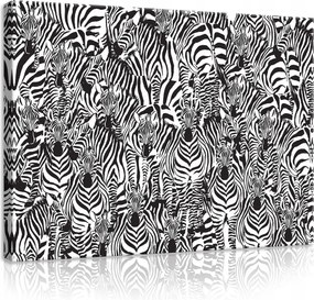 Vászonkép 80x60 Zebra csíkos fekete-fehér vad természet állatok minta kontraszt