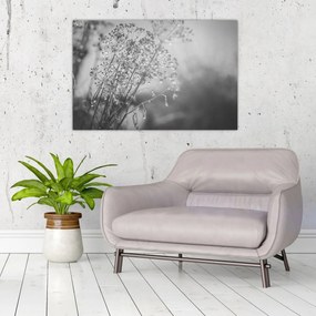 Kép - Mező az eső után (90x60 cm)