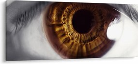 Kép - Szem (120x50 cm)