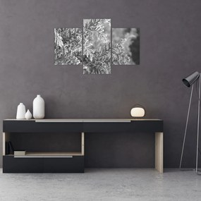 Kép - Lucfenyő erdő (90x60 cm)