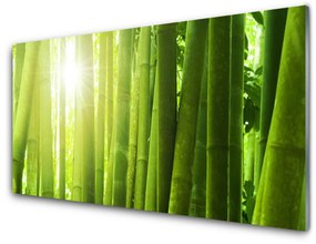 Modern üvegkép bambusz növény 100x50 cm