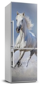 Dekor matrica hűtőre Egy vágtató ló FridgeStick-70x190-f-95626475