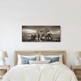 Fekete fehér tigris képe (120x50 cm)