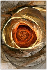 Poszterek 80x120 Absztrakt rózsa