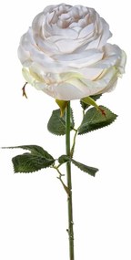 LEONARDO POESIA rózsa 67cm, krém