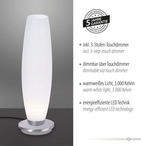 Paul Neuhaus modern asztali lámpa tyra ezüst pln4027-55