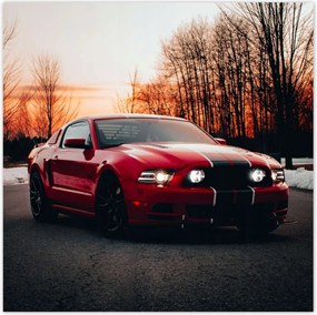 Poszter 70x70 Ford Mustang Nyugati út