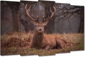 Vászonkép 150x95 Szarvas felszarvazott