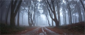 Kép - Egy esős napon (120x50 cm)