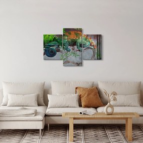 Kép - kaméleon (90x60 cm)