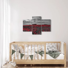 Pipacsos kép (90x60 cm)