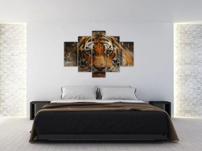 Kép - Portré egy tigris a vízben (150x105 cm)