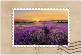 Poszterek 120x80 Levendula naplemente