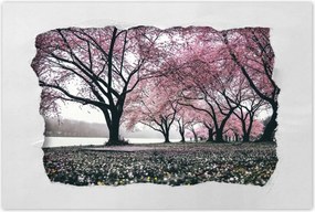 Poszterek 120x80 Fa Fák Kilátás