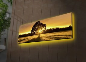 Vászonkép, 30×90 cm – 3090DACT-68
