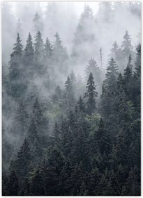 Poszterek 50x70 Ködös hegyi táj