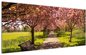Kép - cseresznye ültetvény (120x50 cm)