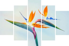 Virág képe (150x105 cm)